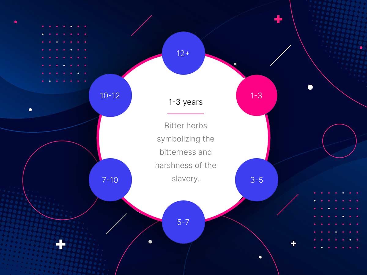 Interactive Circle Infographic